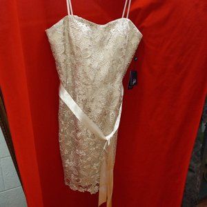 Adrian Papeil Strapless Dress